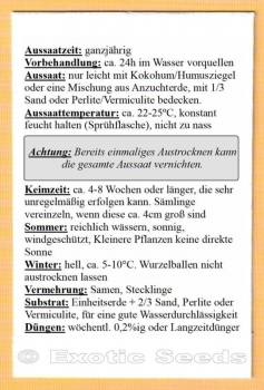Coddia rudis, 10-100 Samen